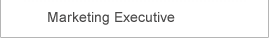 Marketing Executive